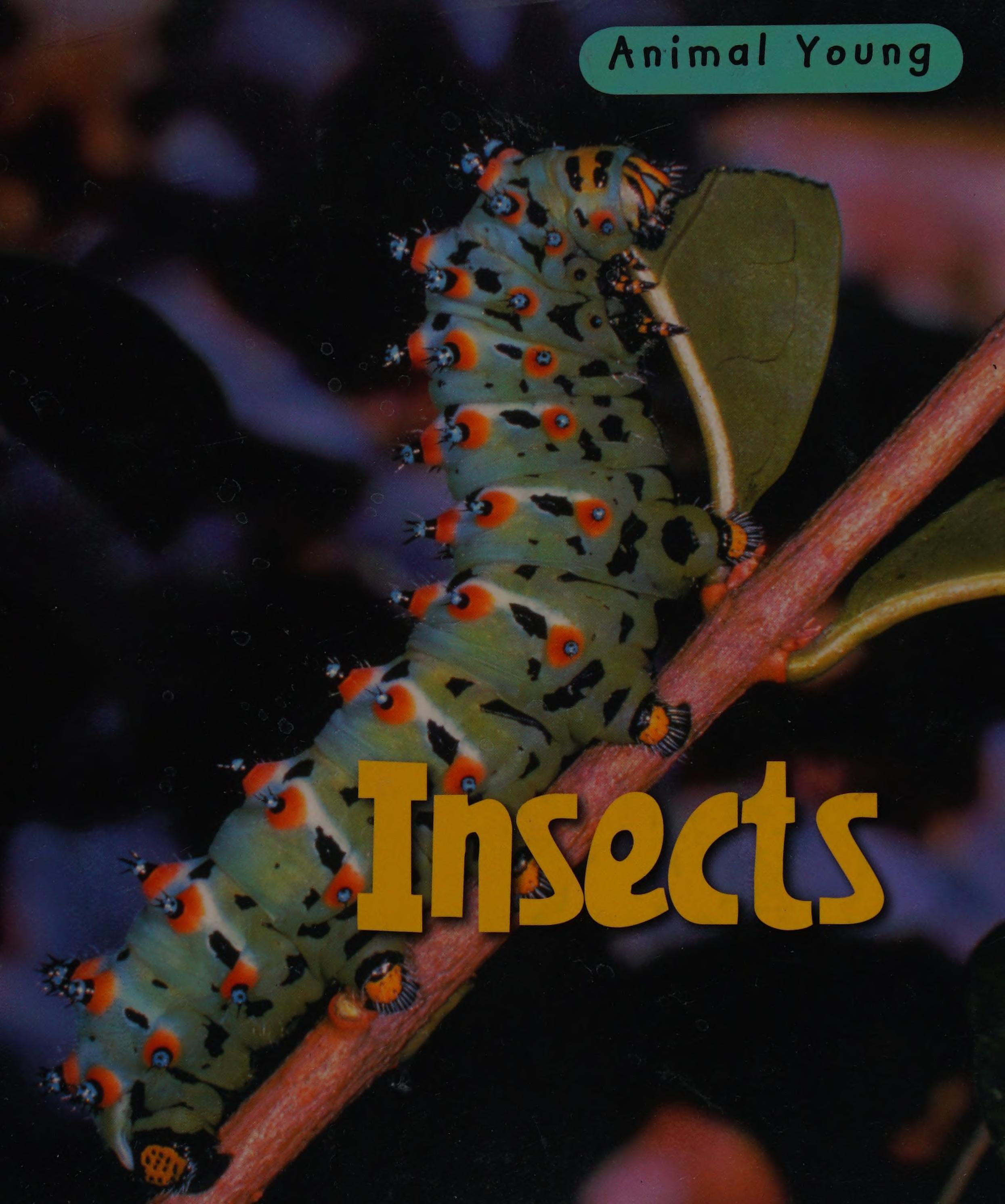 Insects