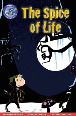 Navigator New Guided Reading Fiction Year 5, the Spice of Life