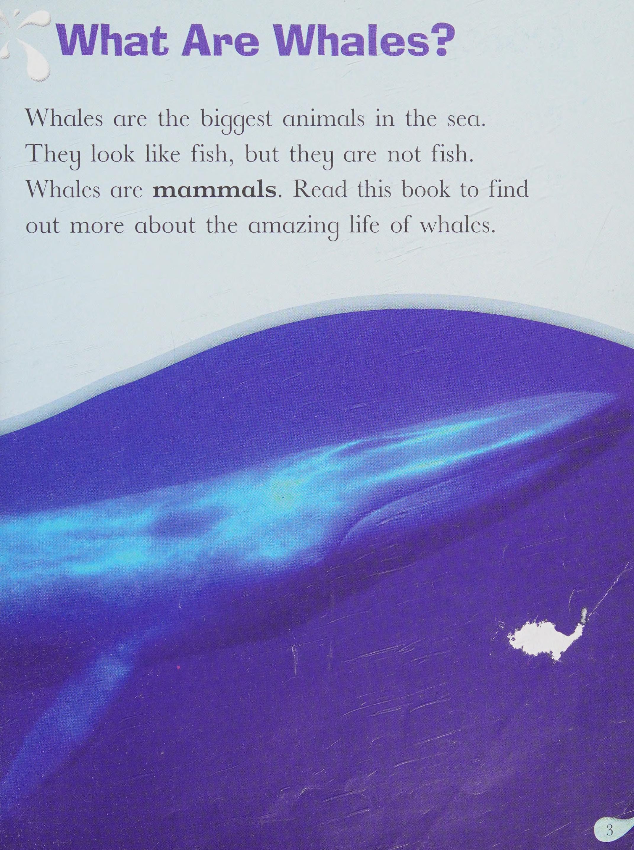 Rigby Star Independent Year 2 Purple Non Fiction