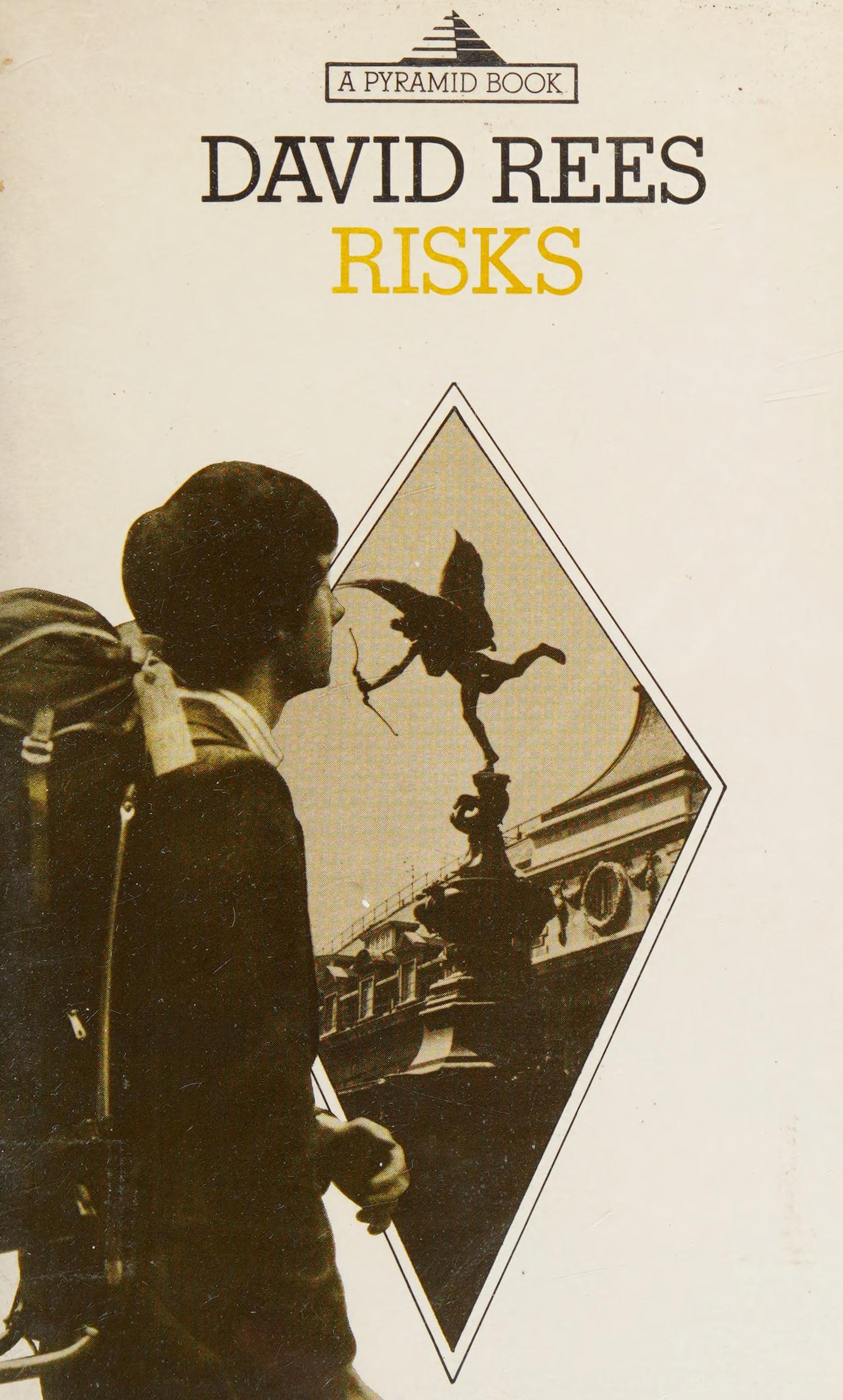 Risks Rees Pyramid