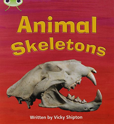 Animals Skeletons