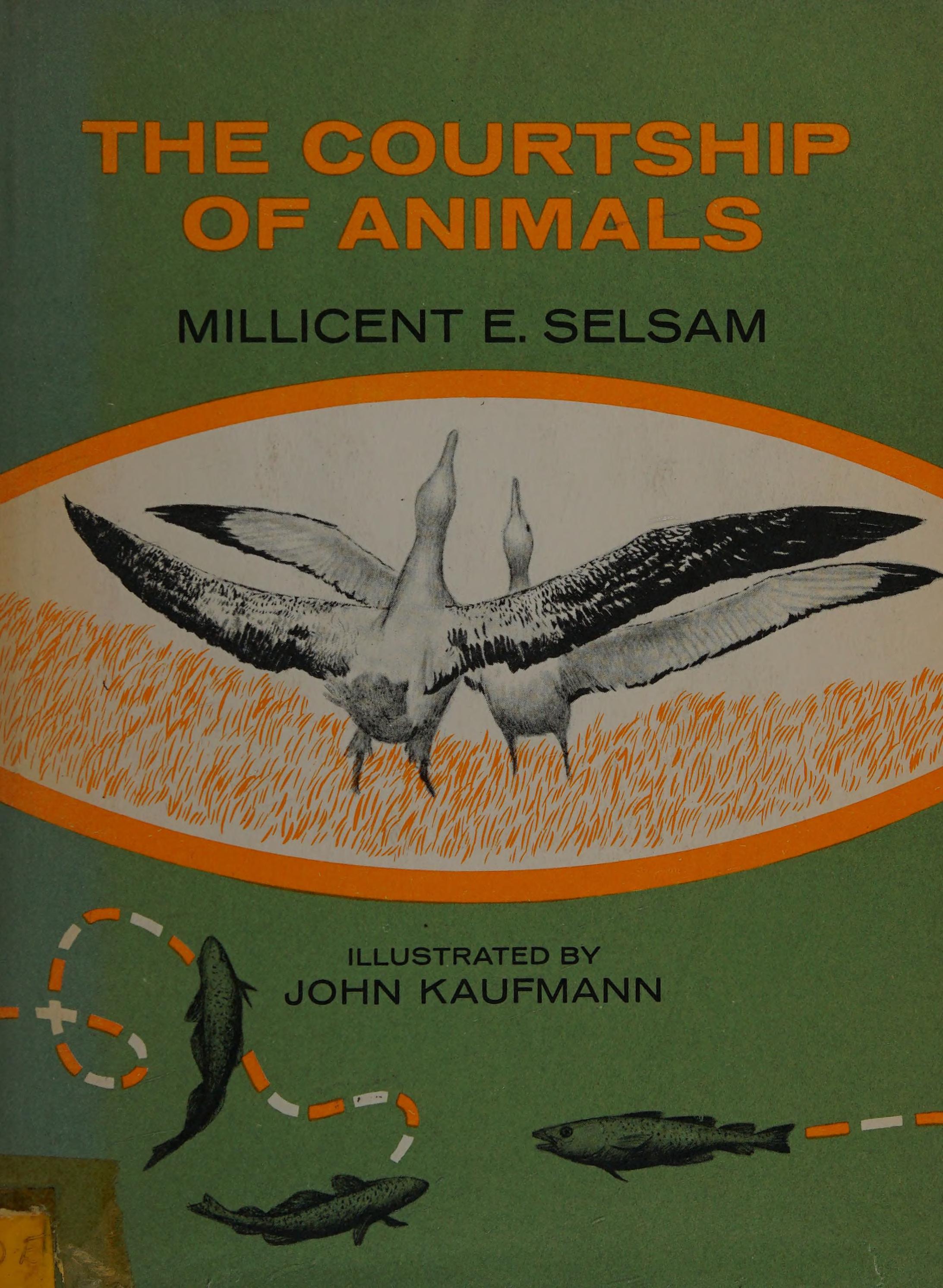 The Courtship of Animals