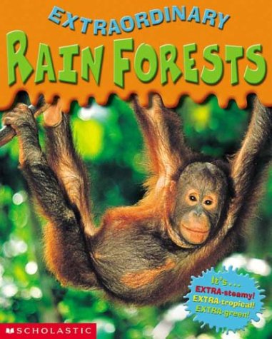 Rain Forest