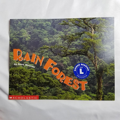 Rain forest