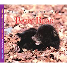 The adventures of Baby Bear