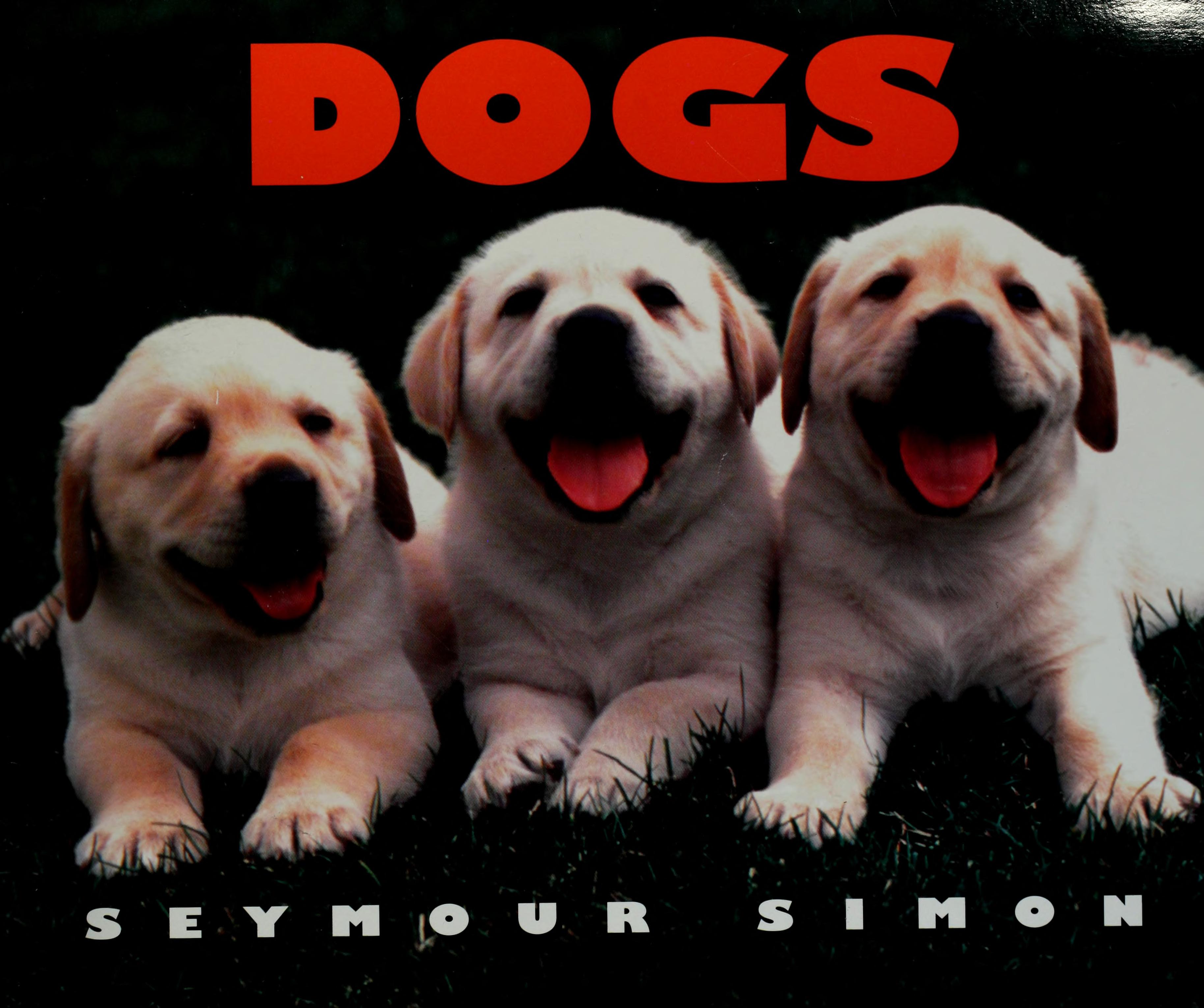 Dogs