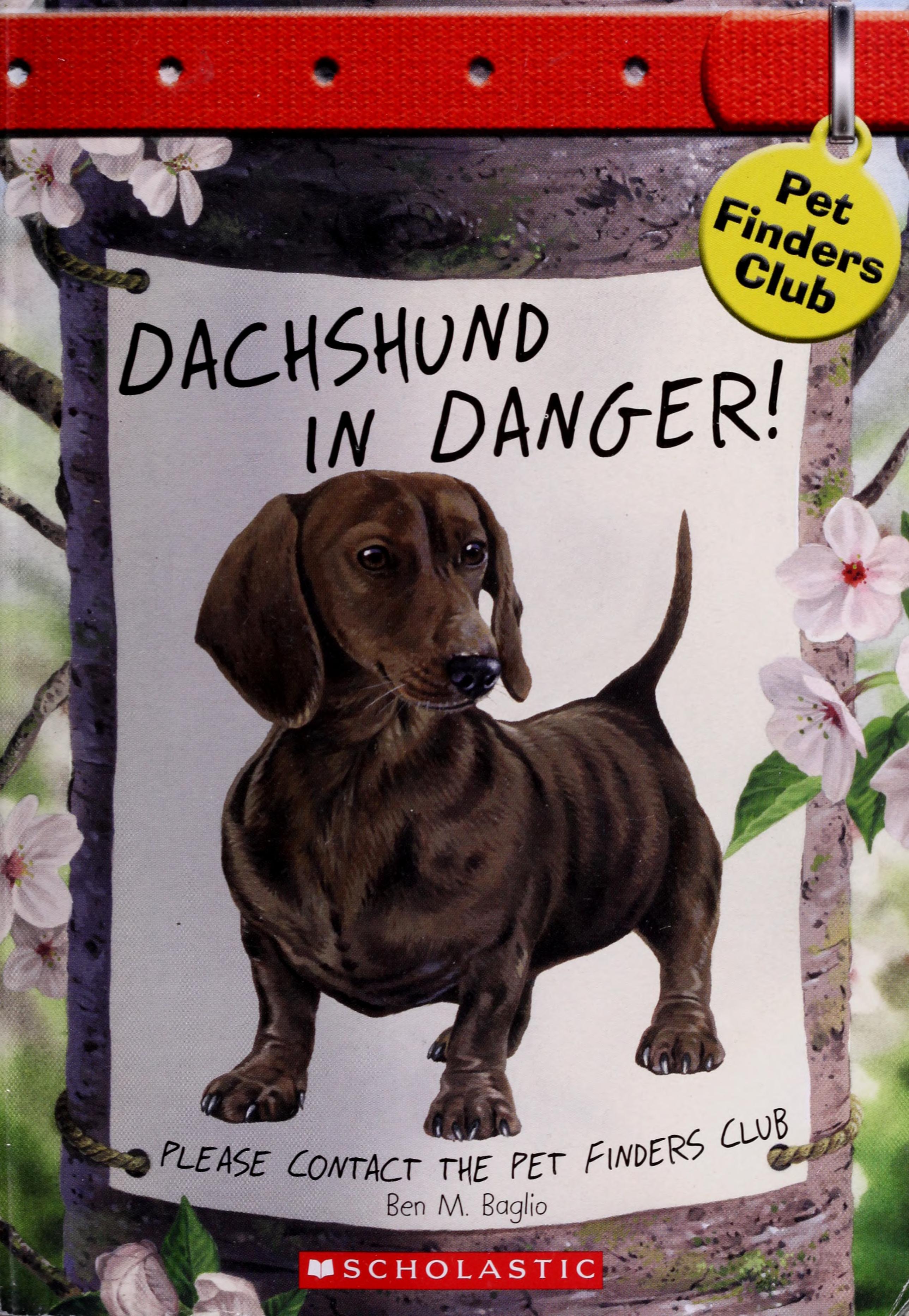 Dachshund in Danger