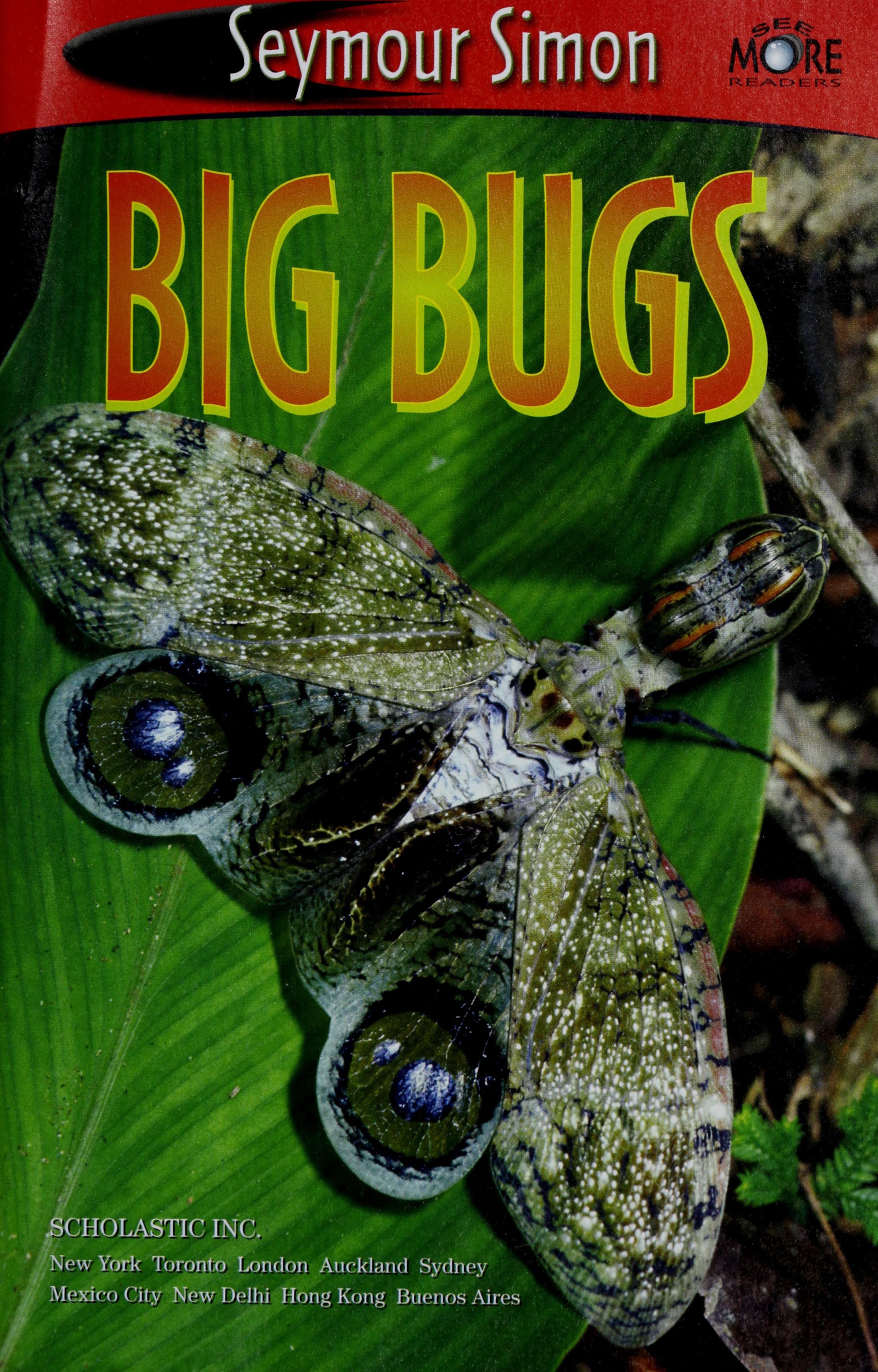 Big Bugs