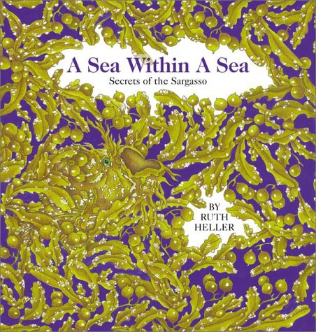 A Sea Within a Sea