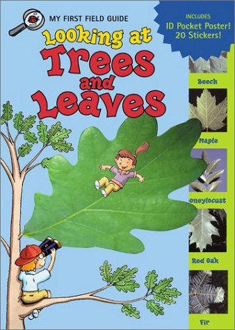 Looking At Trees And Leaves