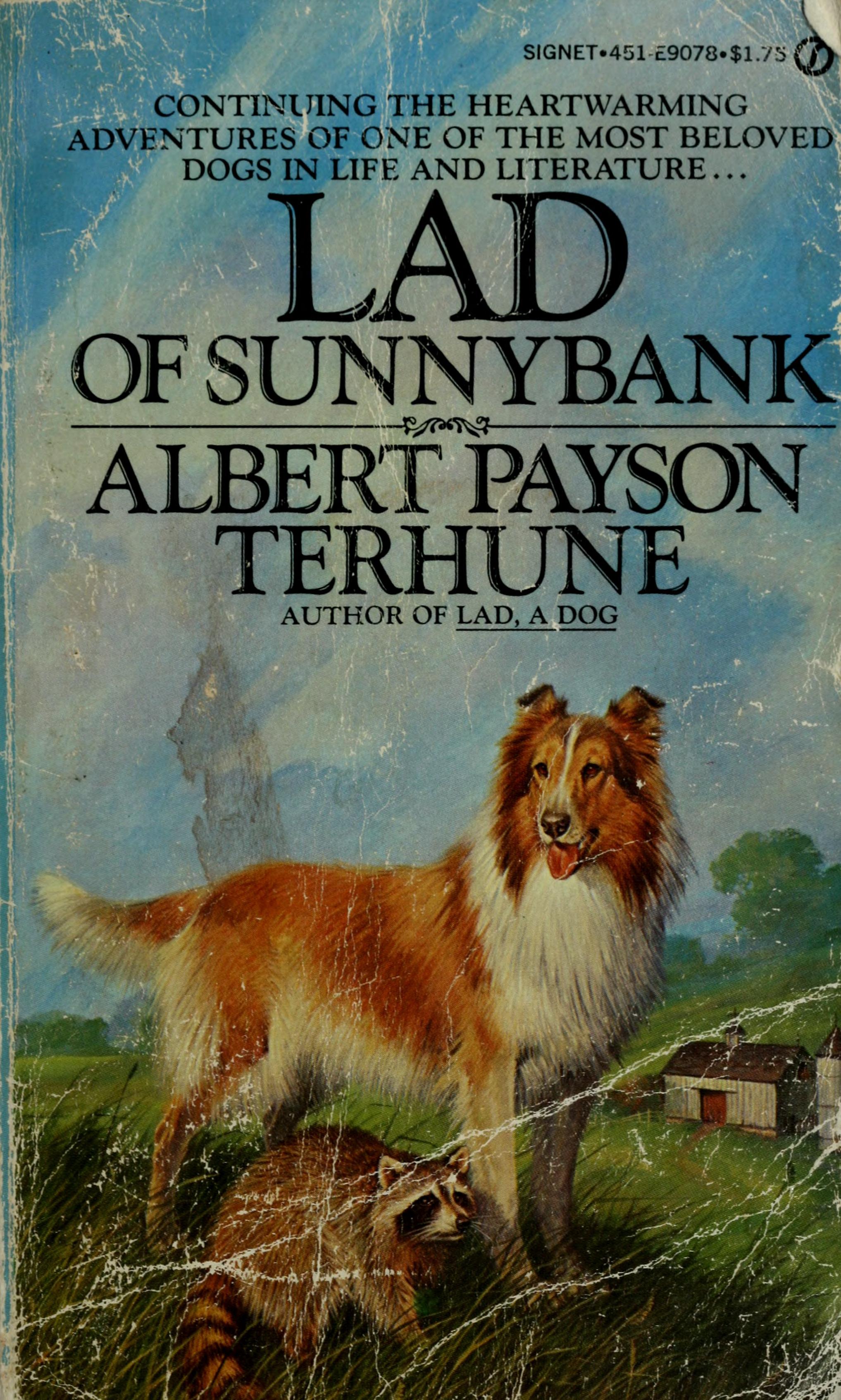 Lad of Sunnybank