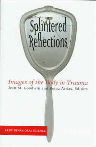 Splintered Reflections