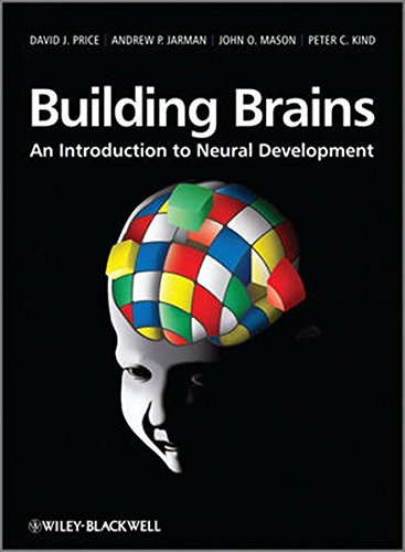 Building Brains: An Introduction To Neural Development