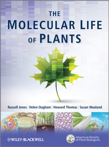 The Molecular Life of Plants