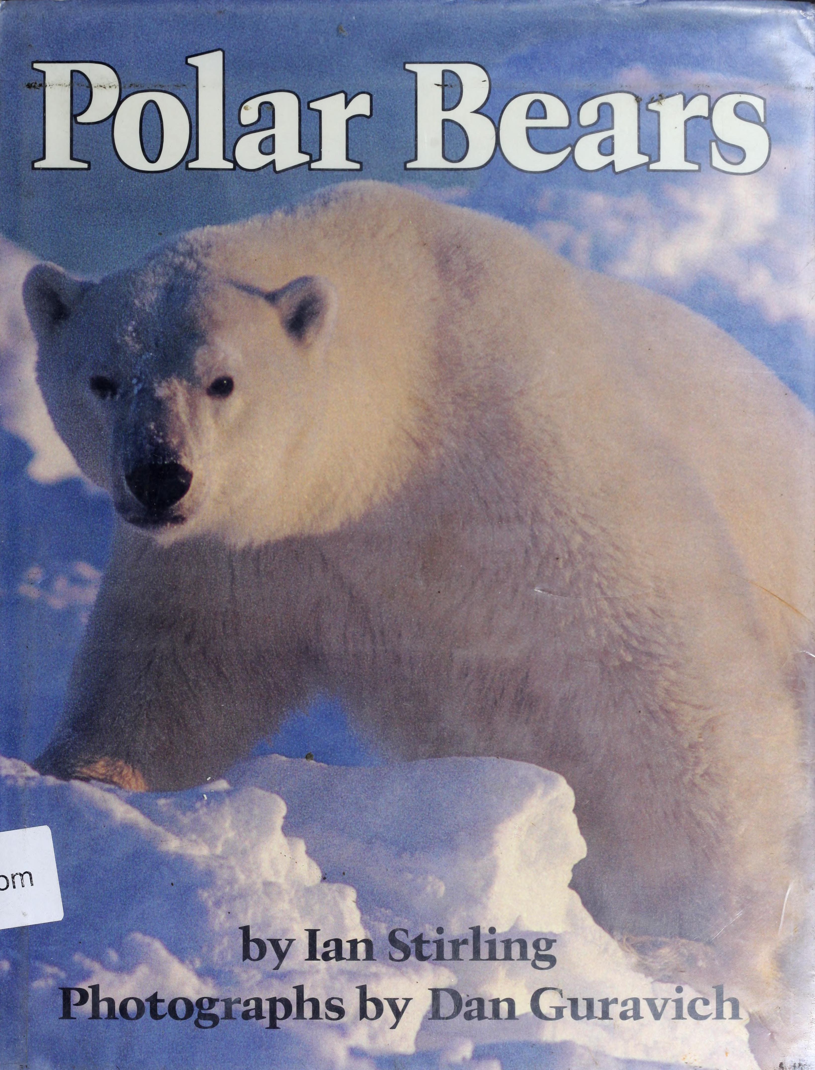 Polar Bears