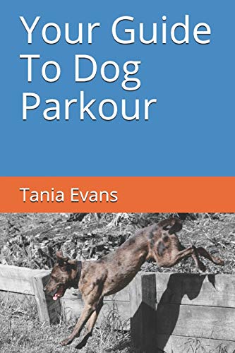 Your Guide To Dog Parkour