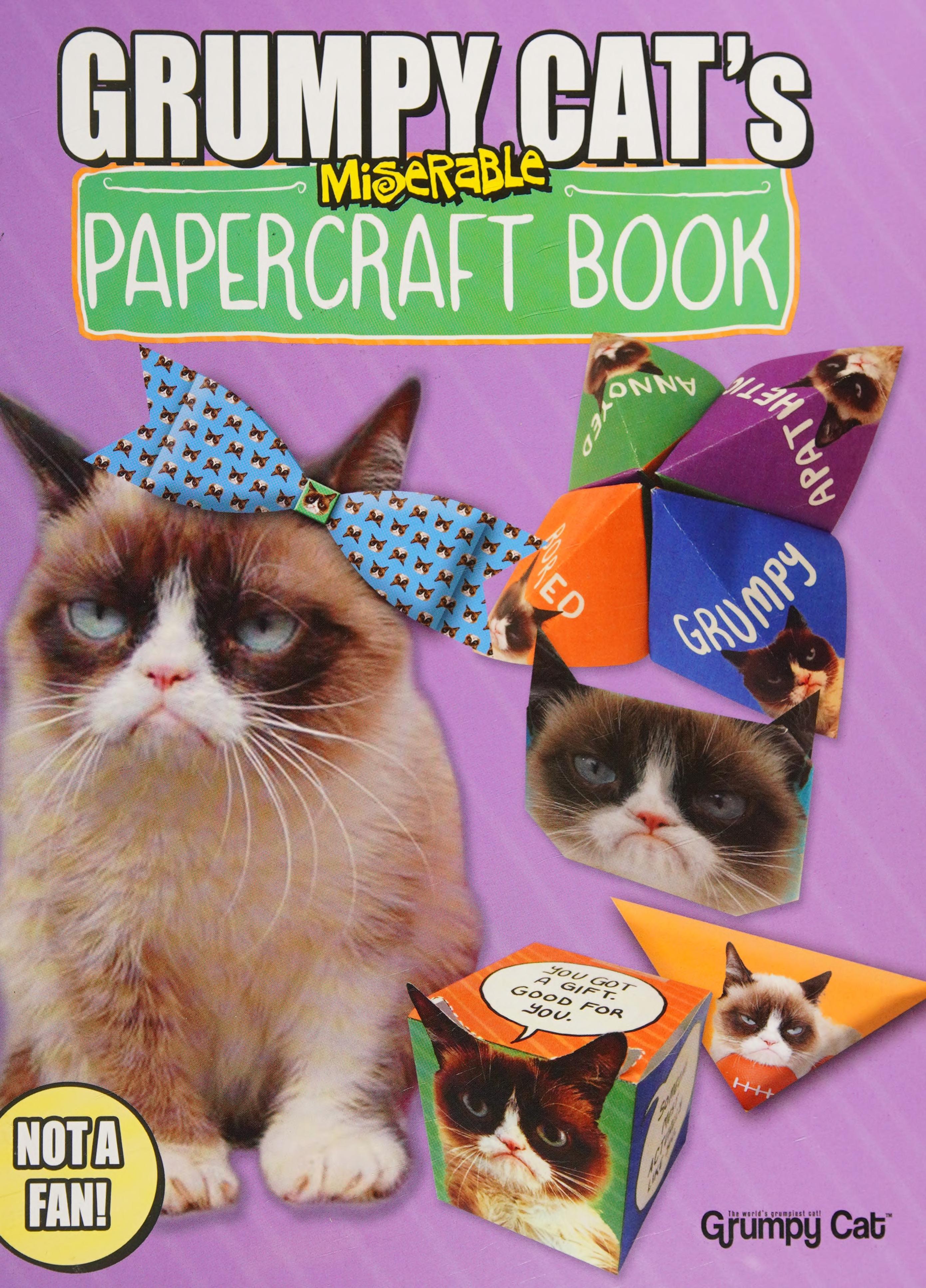 Grumpy Cat's Miserable Papercraft Book