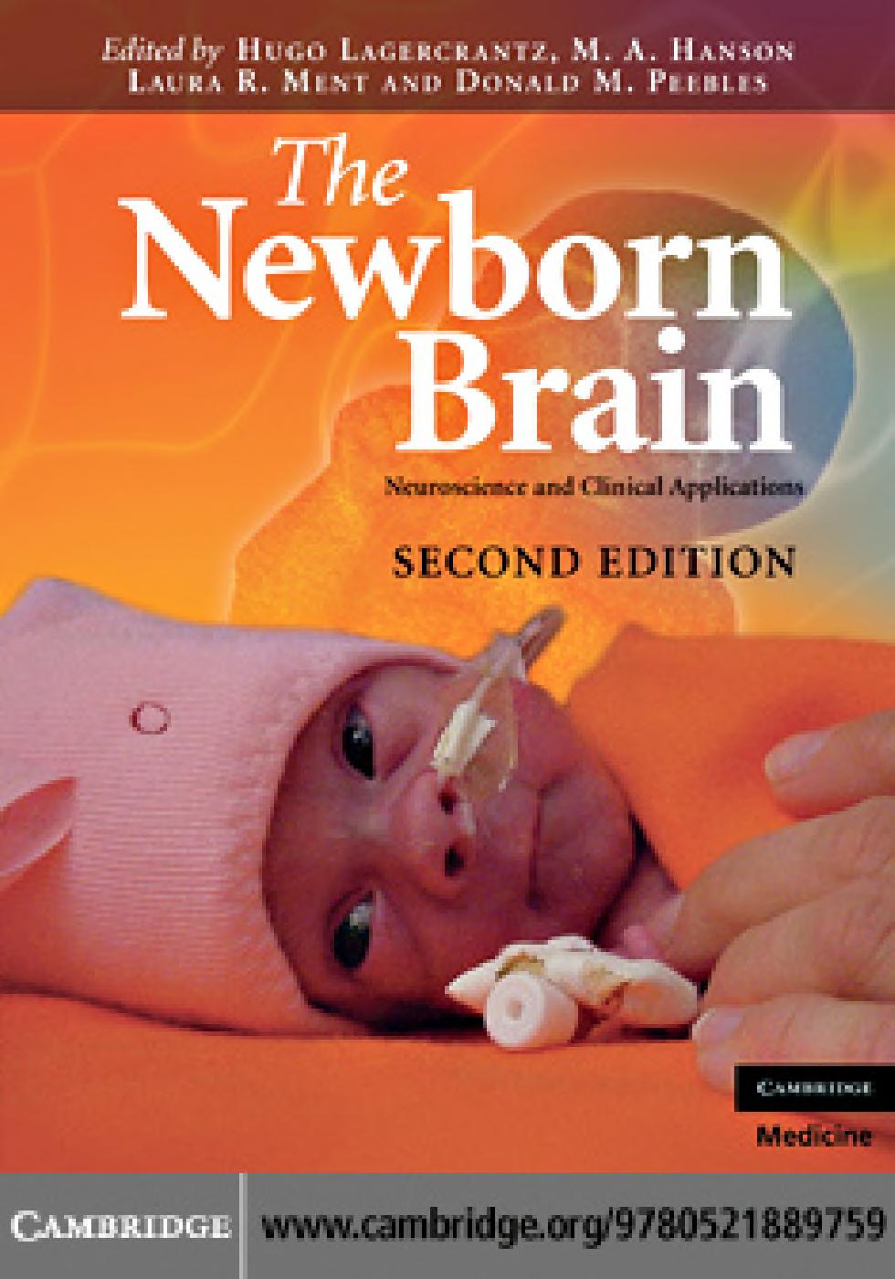 The newborn brain