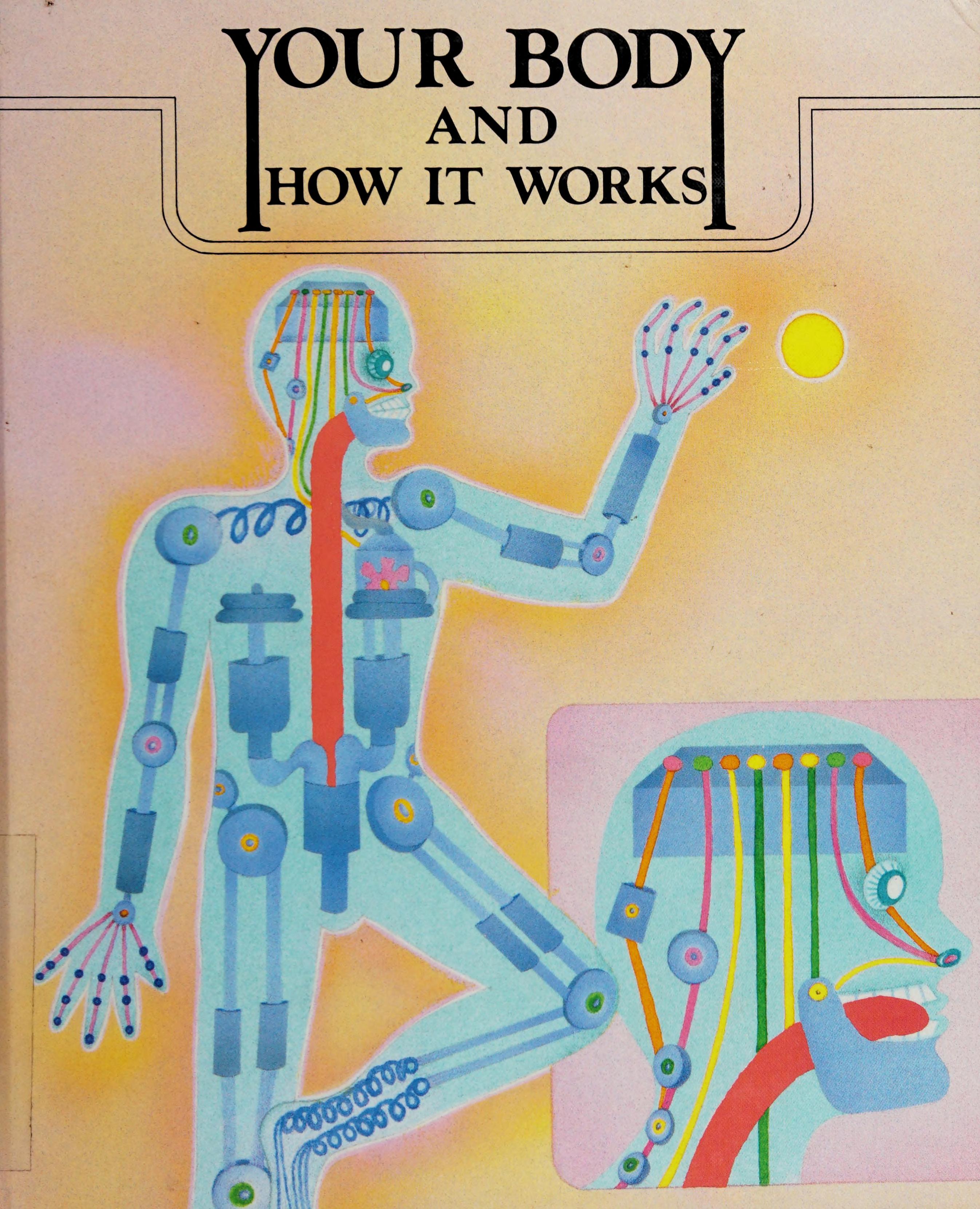 Your Body And How It Works