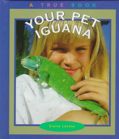 Your pet iguana