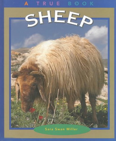 Sheep True Books