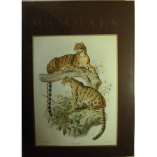Classic Natural History Prints