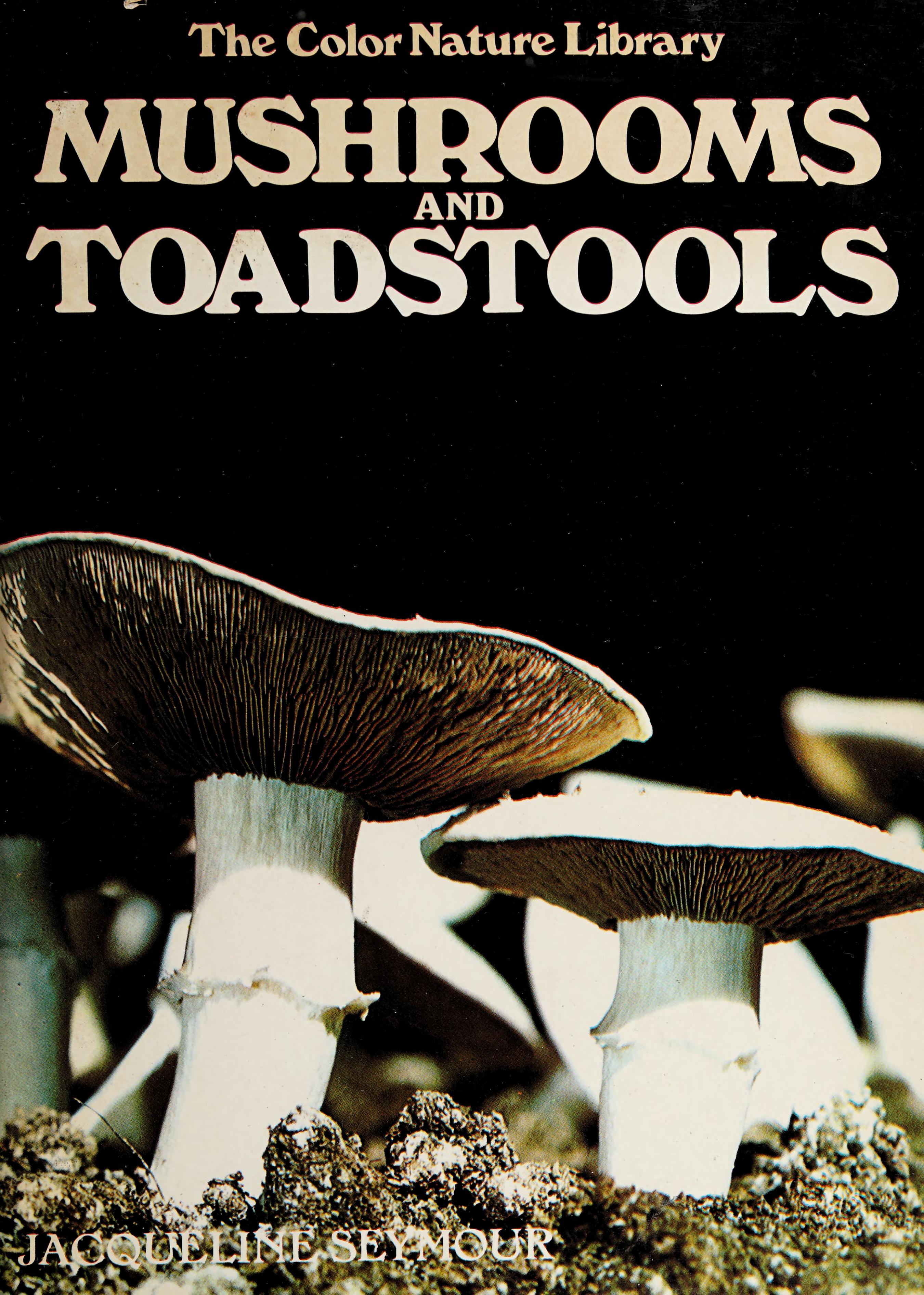 Mushrooms And Toadstools