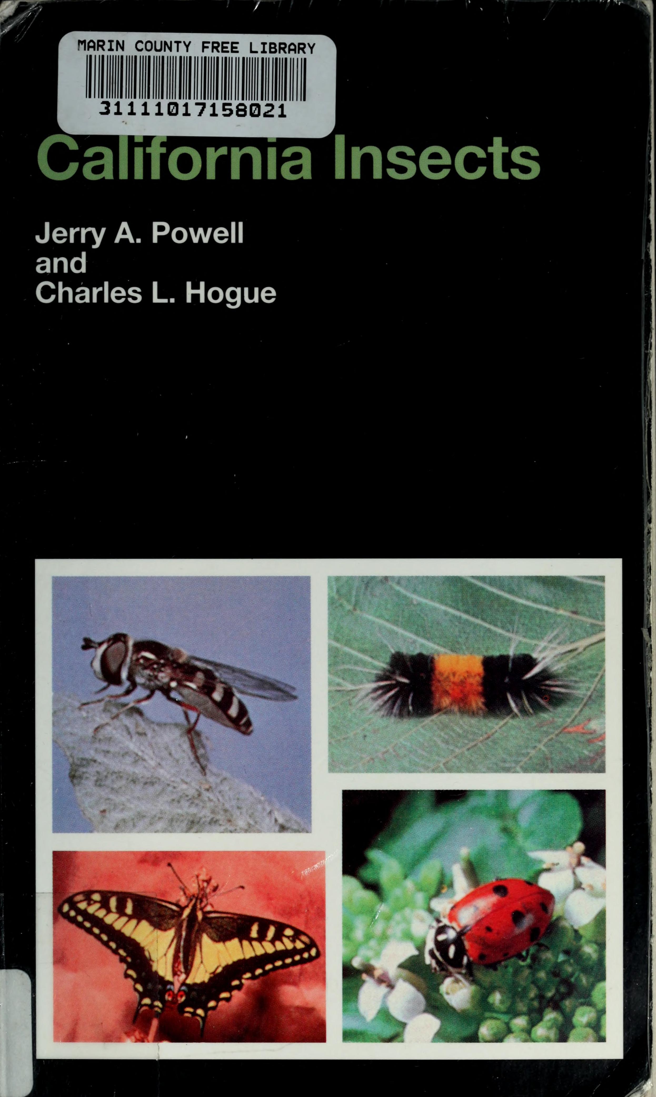 California Insects