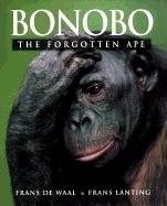 Bonobo