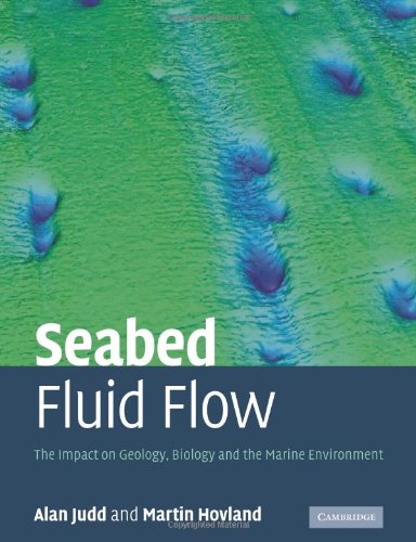 Seabed Fluid Flow