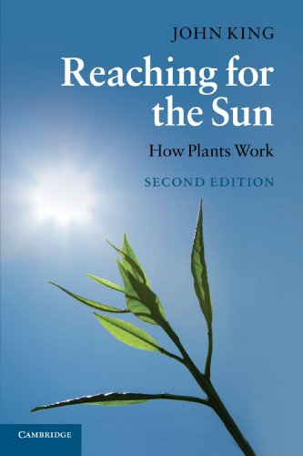 Reaching for the Sun, Second Edition