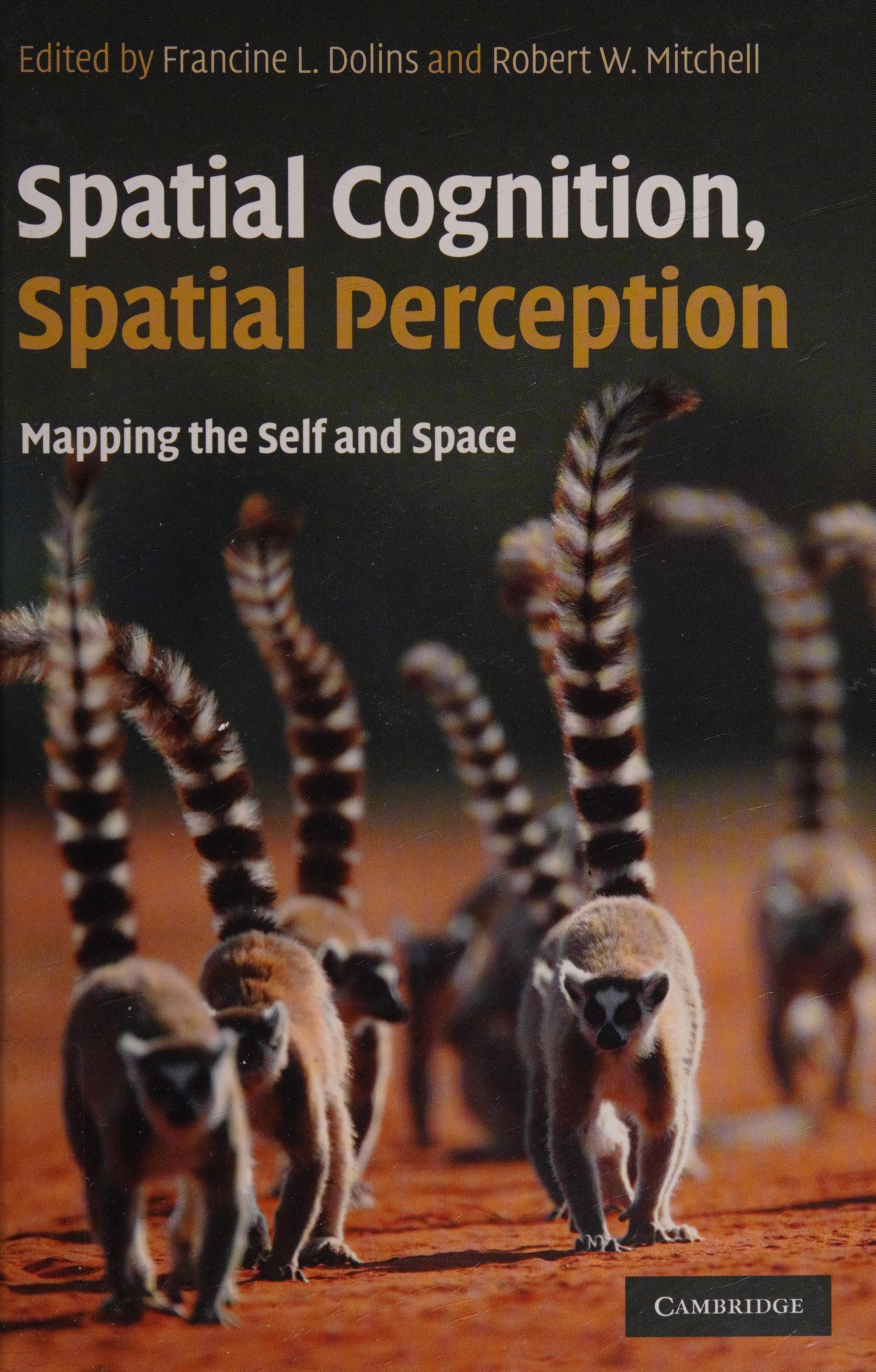 Spatial Cognition, Spatial Perception