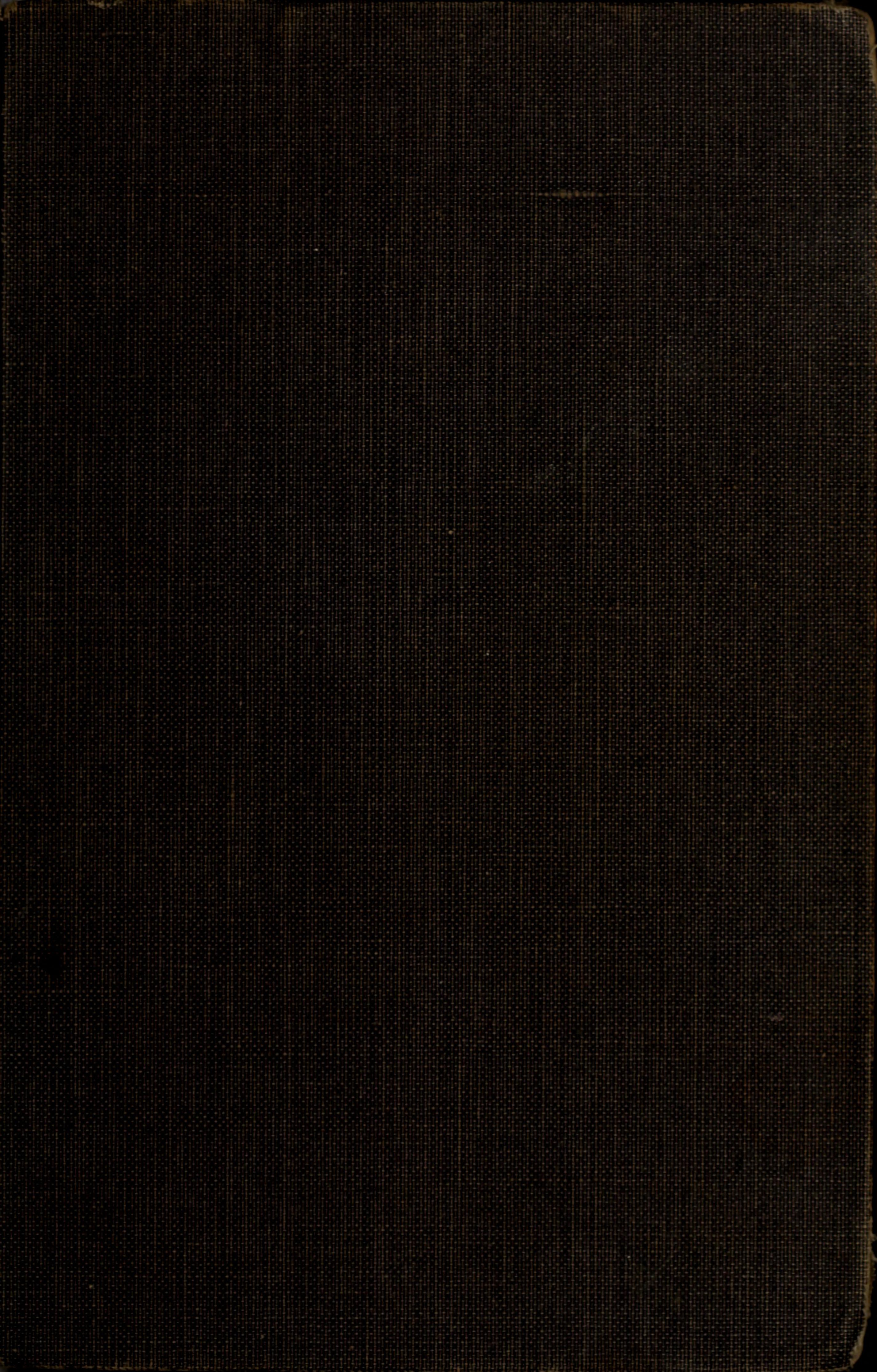 The Runaway Stallion