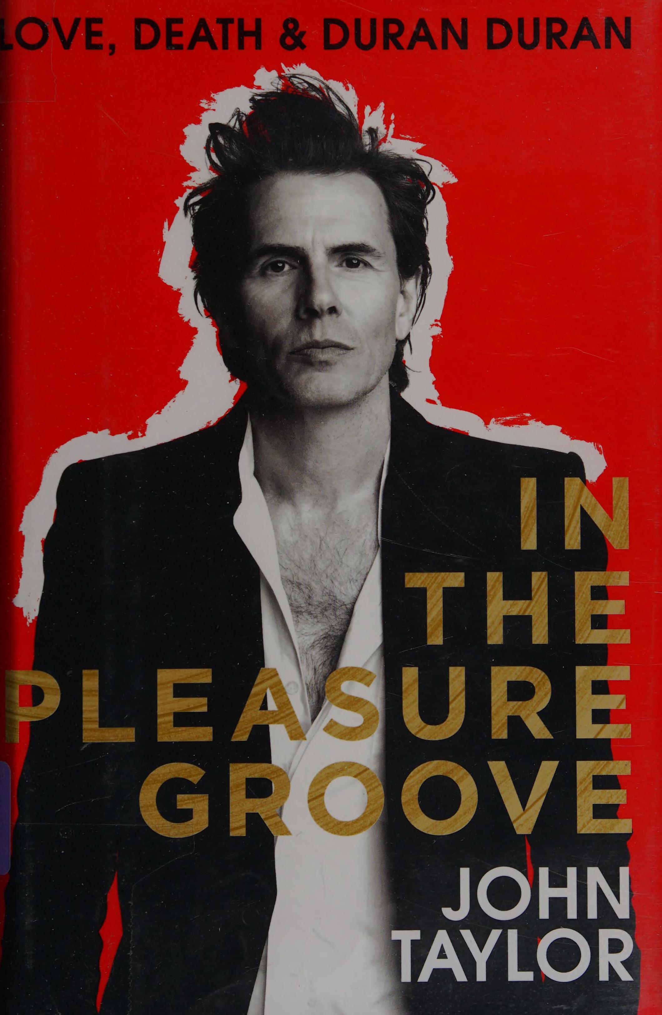 In The Pleasure Groove