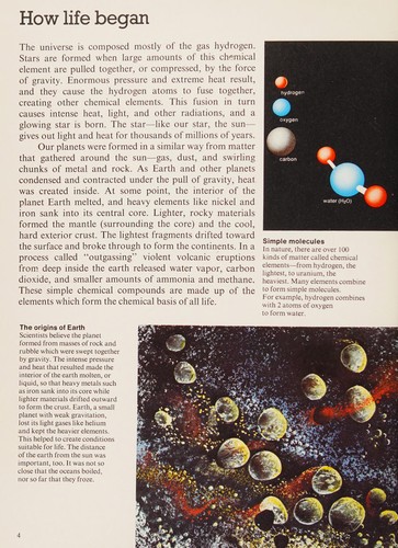 A Closer Look at the Dawn of Life