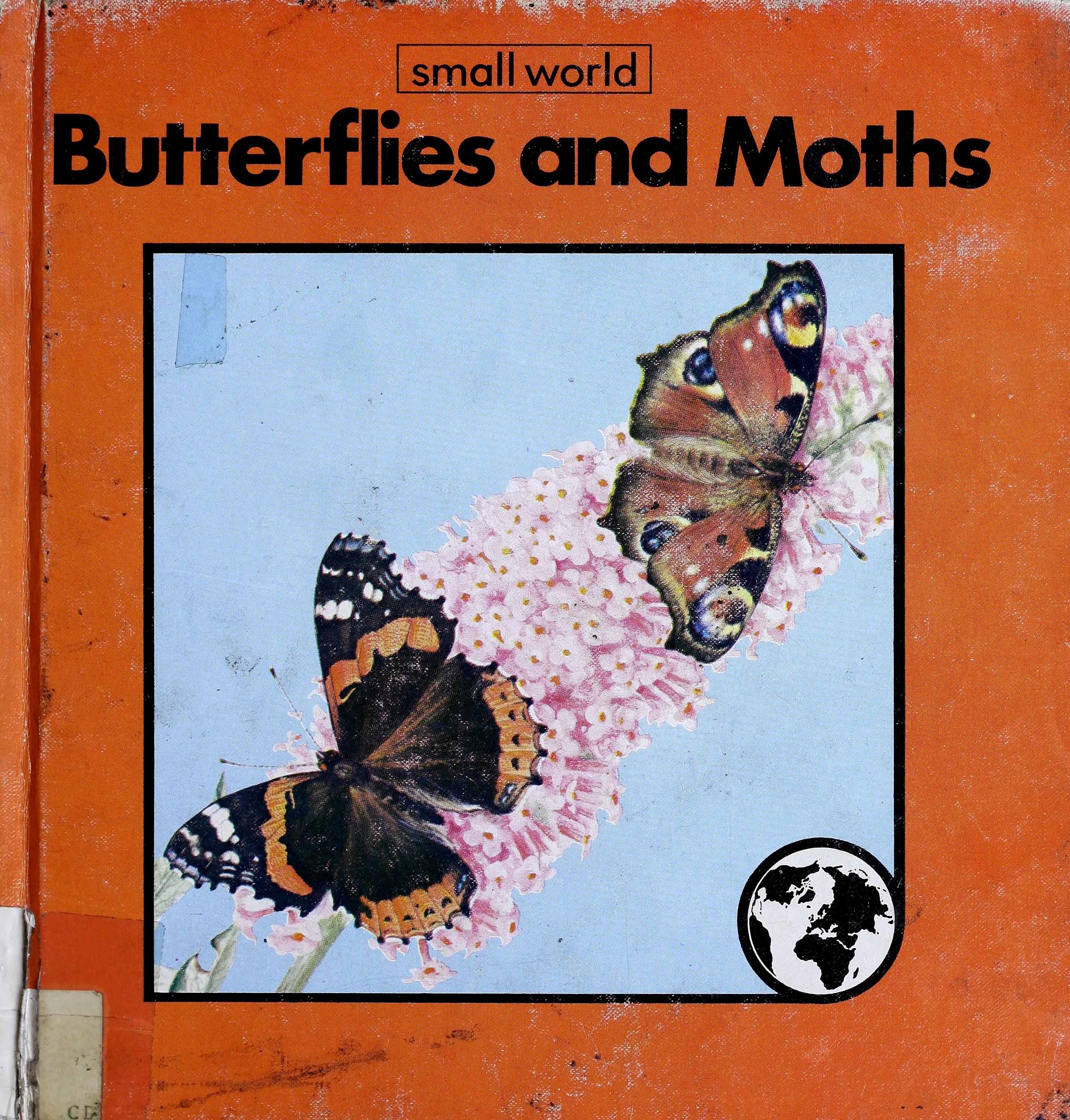 Butterflies and Moths