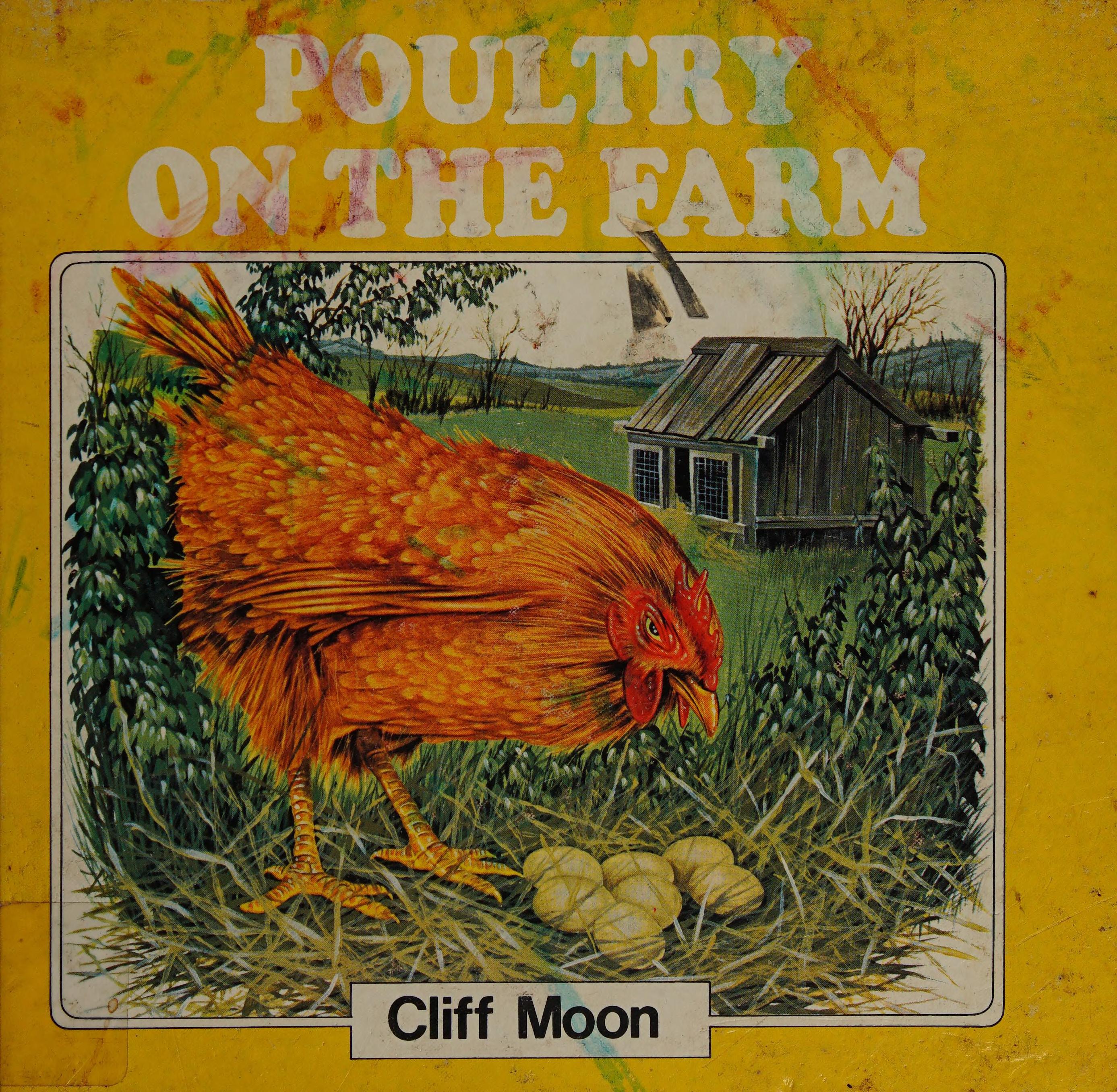 Poultry on the farm