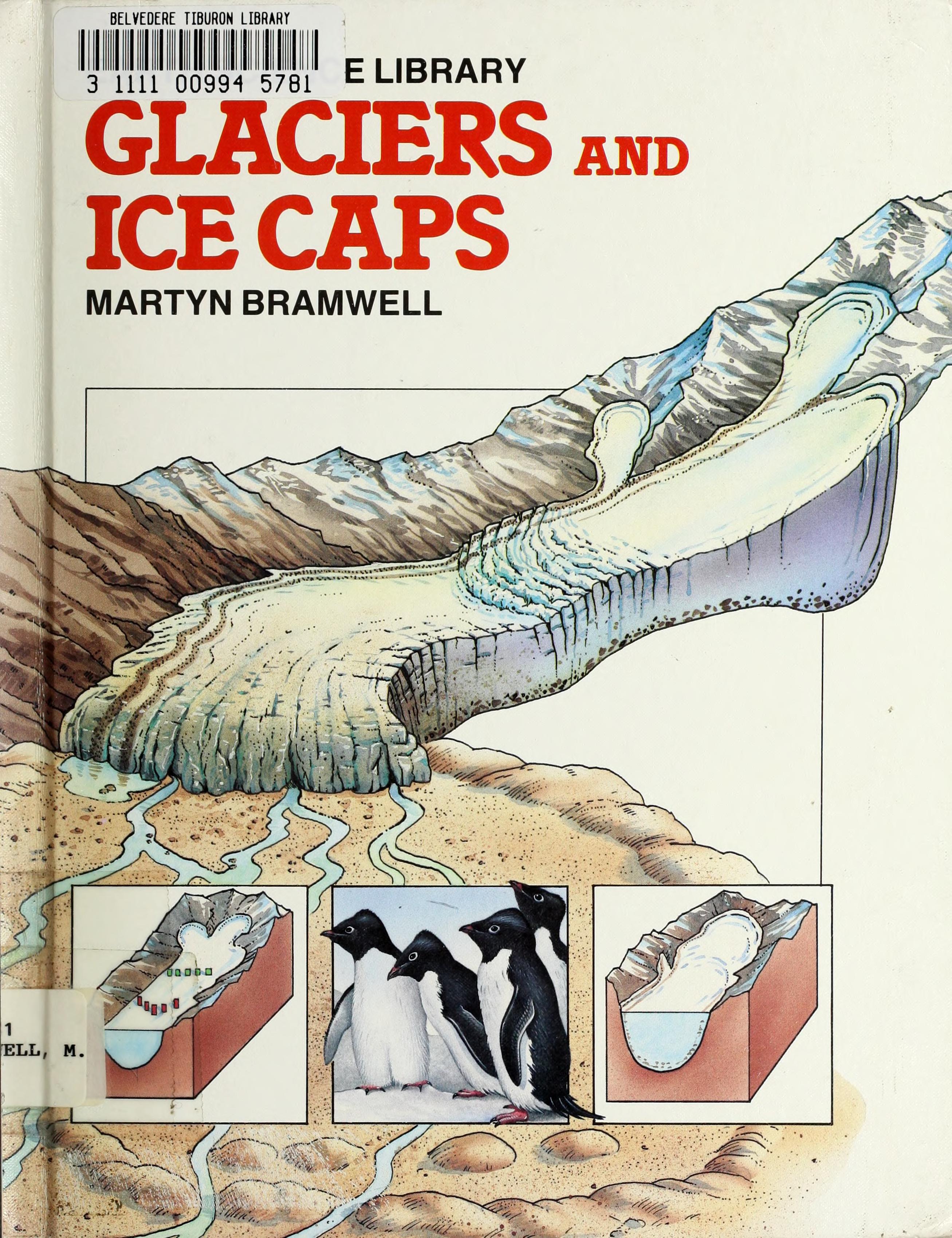 Glaciers and ice caps