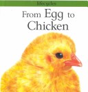 From Egg To Chicken