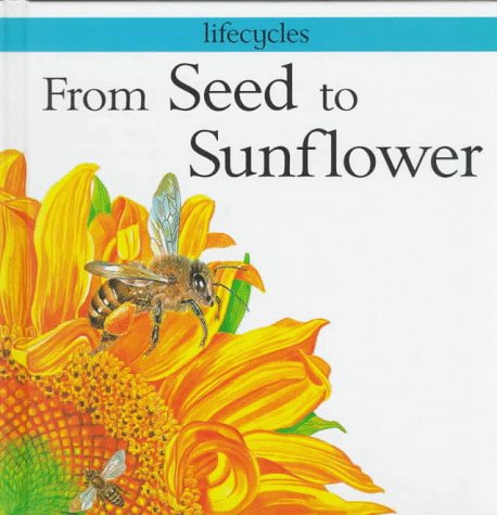 From Seed To Sunflower
