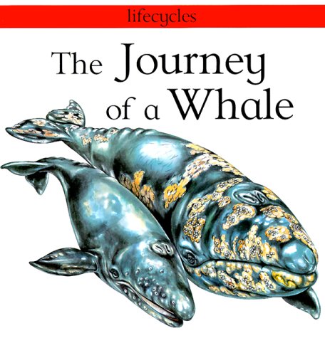 The Journey Of A Whale