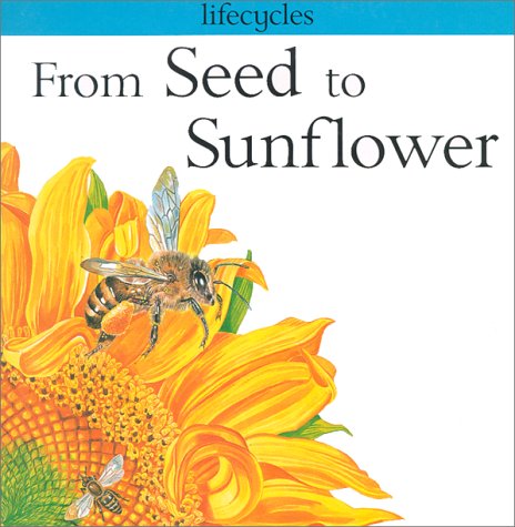 From Seed To Sunflower