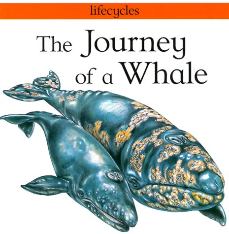 The Journey Of A Whale