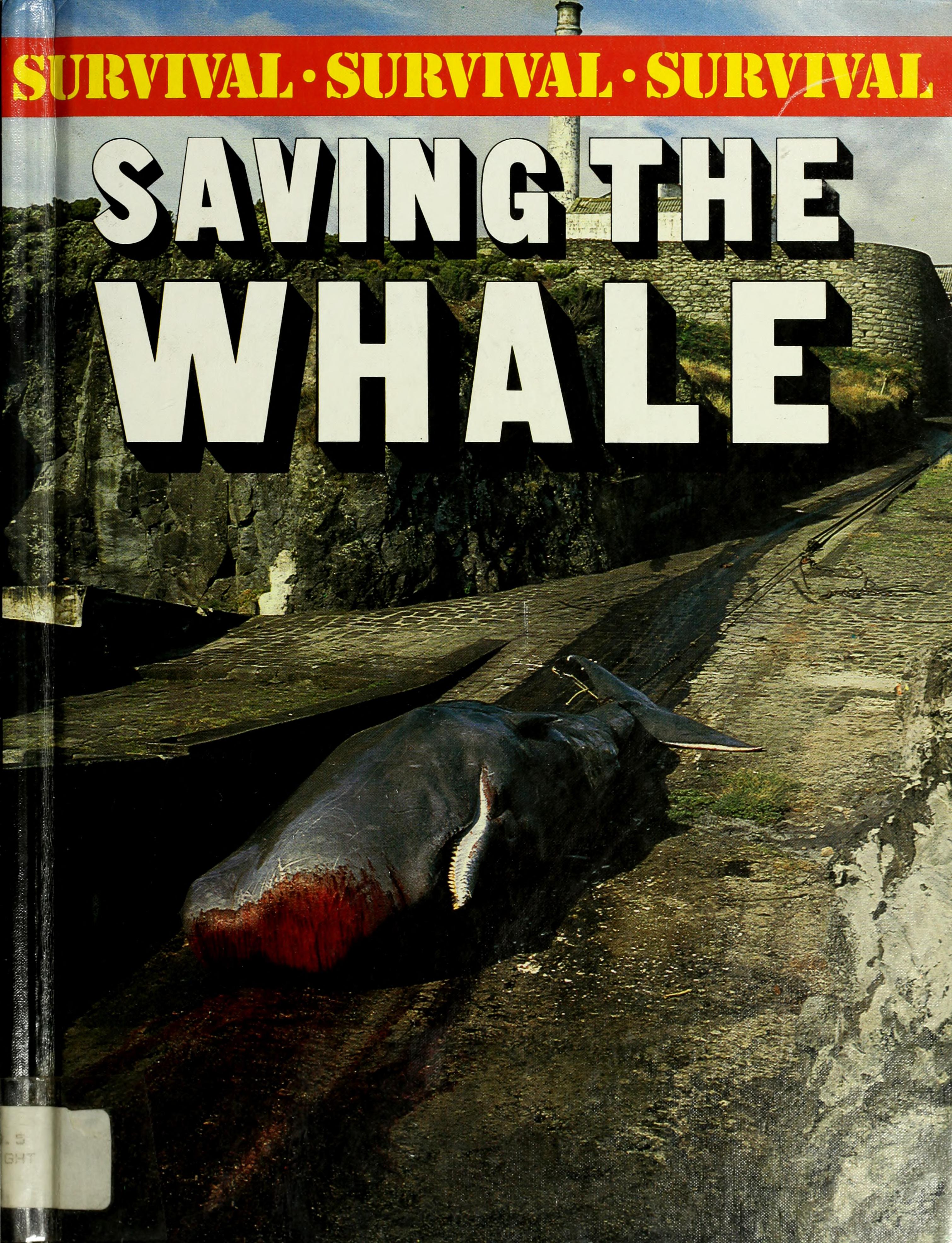 Saving the Whale
