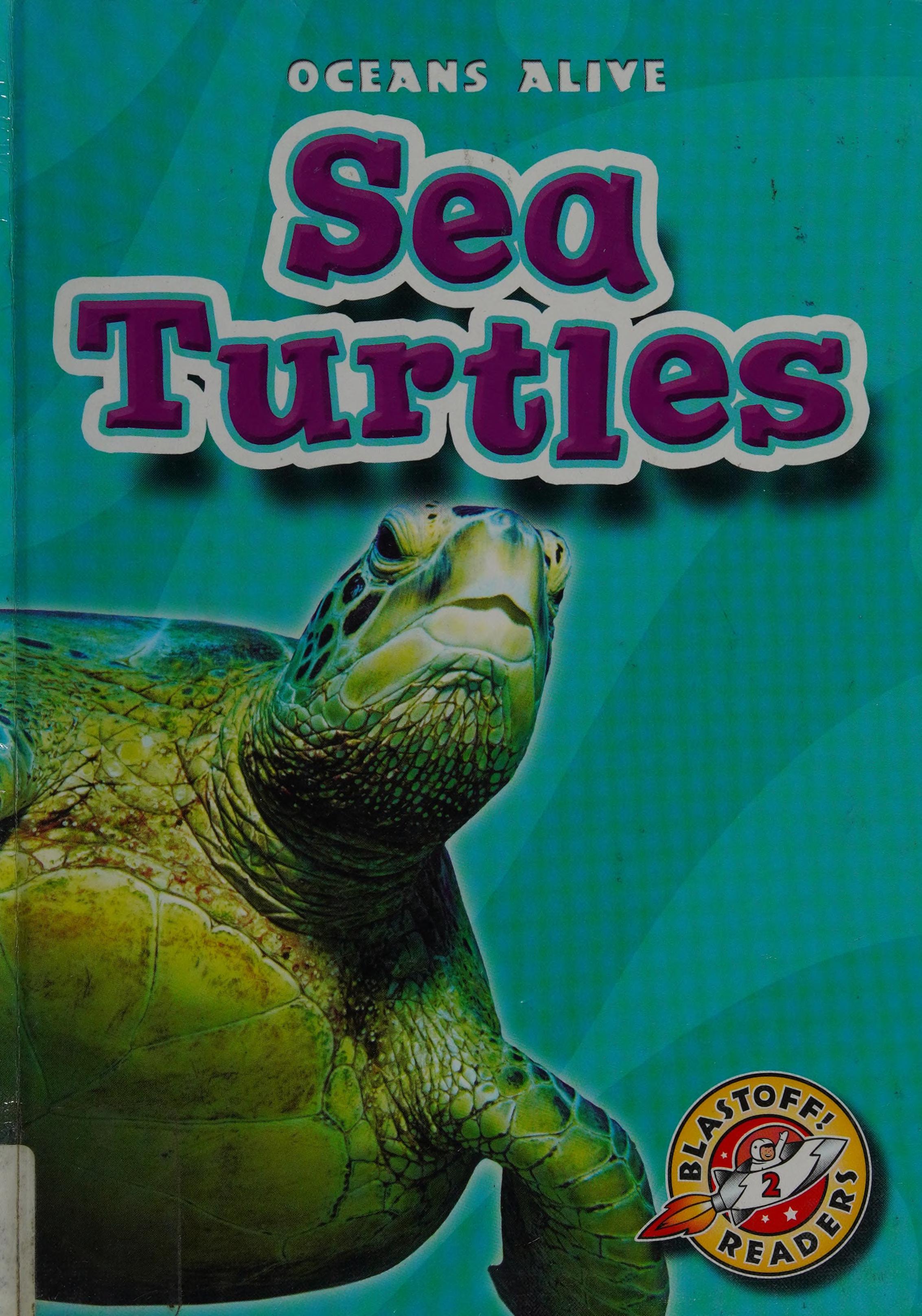 Sea Turtles