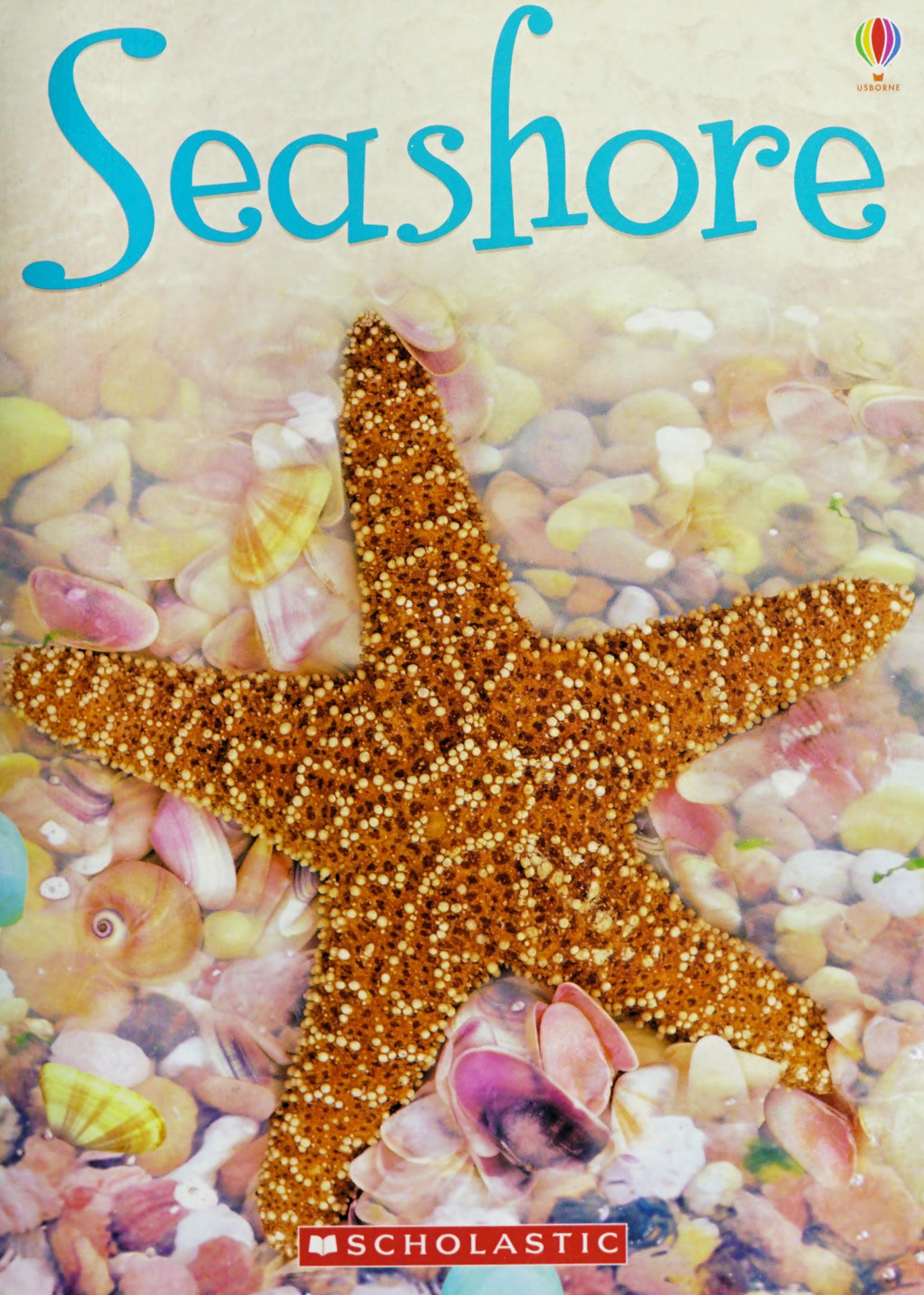 Seashore