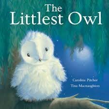 The Littlest Owl [Sound Recording