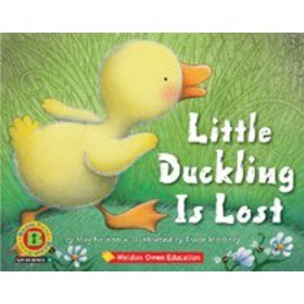 Little Duckling Is Lost
