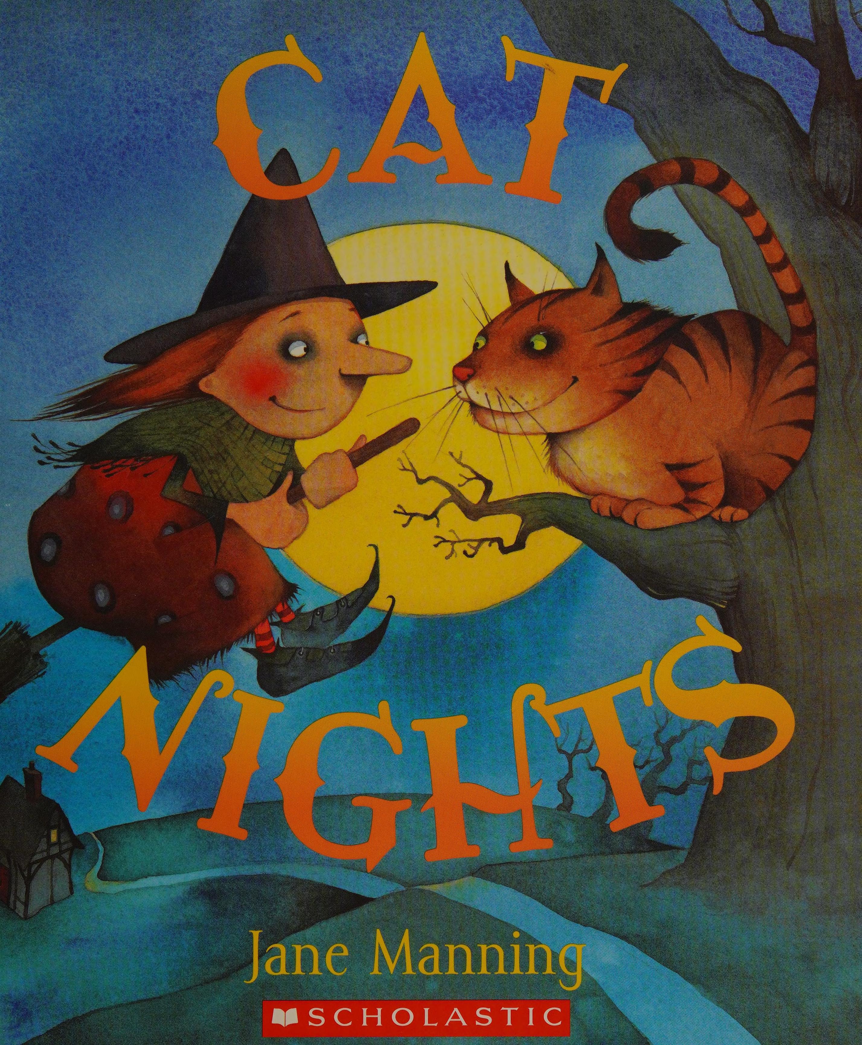 Cat nights