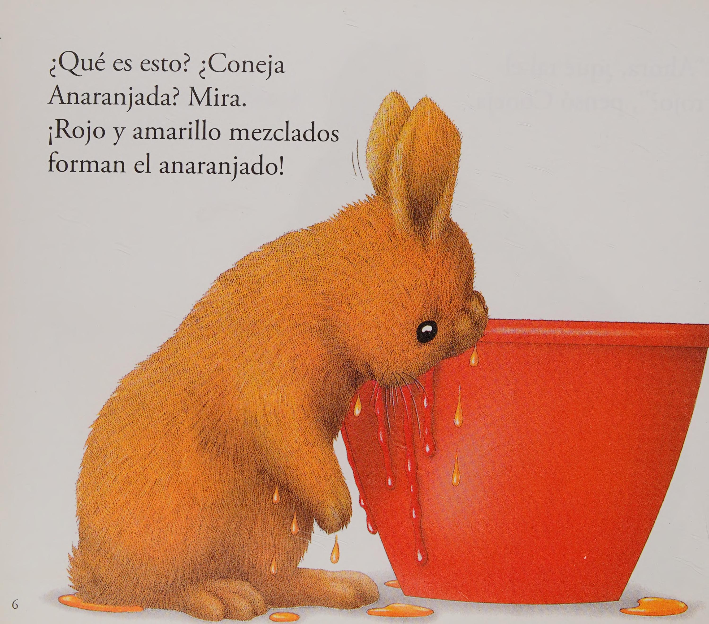 El Libro de Colores de Coneja Blanca